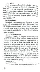 Tủ Sách Văn Hóa Việt Nam - Phong Tục Lễ Nghi - Vũ Thúy Hà