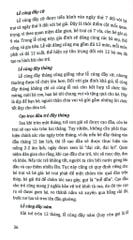 Combo 5 Cuốn Tủ Sách Văn Hóa Việt Nam ( Diễn Xướng Dân Gian + Lễ Hội Dân Gian + Phong Tục Lễ Nghi + Tín Ngưỡng Dân Gian + Trò Chơi Dân Gian )