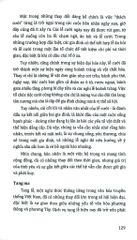 Tủ Sách Văn Hóa Việt Nam - Phong Tục Lễ Nghi - Vũ Thúy Hà