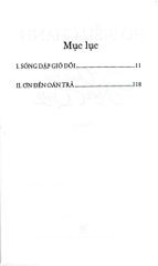 Chúa Tàu Kim Quy - Hồ Biểu Chánh