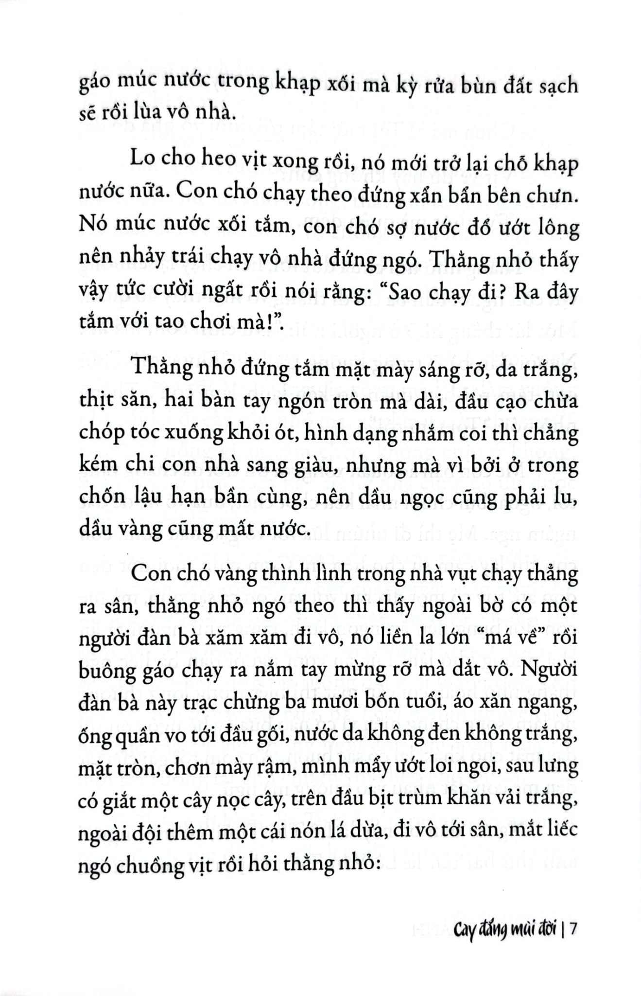 Cay Đắng Mùi Đời - 
Hồ Biểu Chánh
