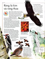 Combo 2 Quyển Atlas Động Vật + Atlas Các Loài Chim - Barbara Taylor, Richard Orr