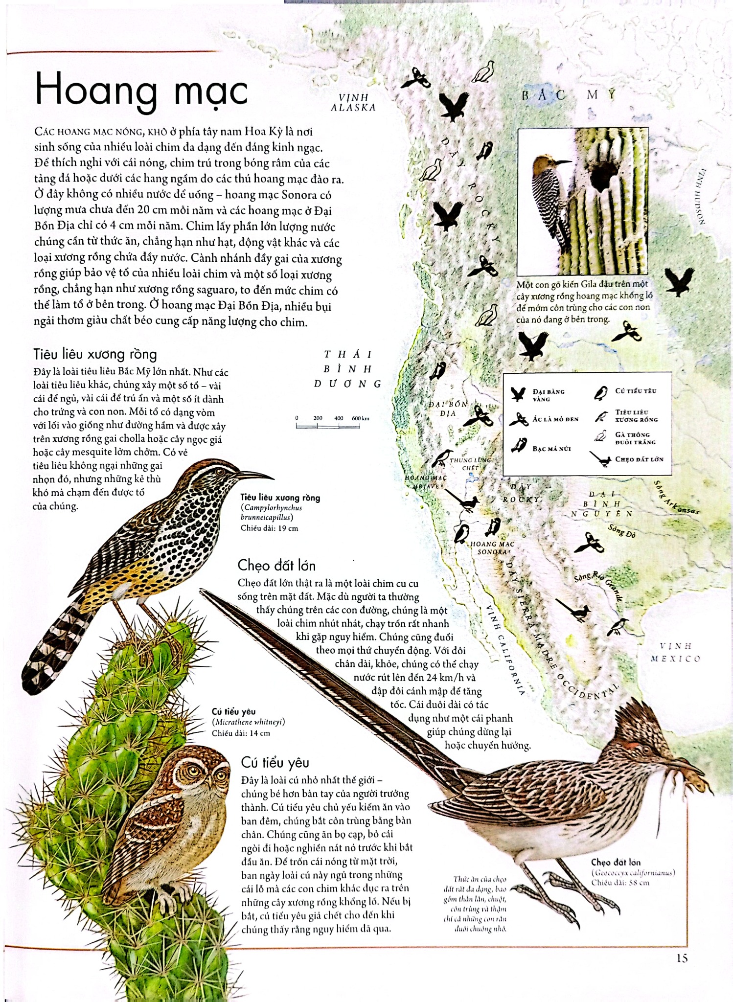 Combo 2 Quyển Atlas Động Vật + Atlas Các Loài Chim - Barbara Taylor, Richard Orr