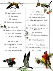 Combo 2 Quyển Atlas Động Vật + Atlas Các Loài Chim - Barbara Taylor, Richard Orr