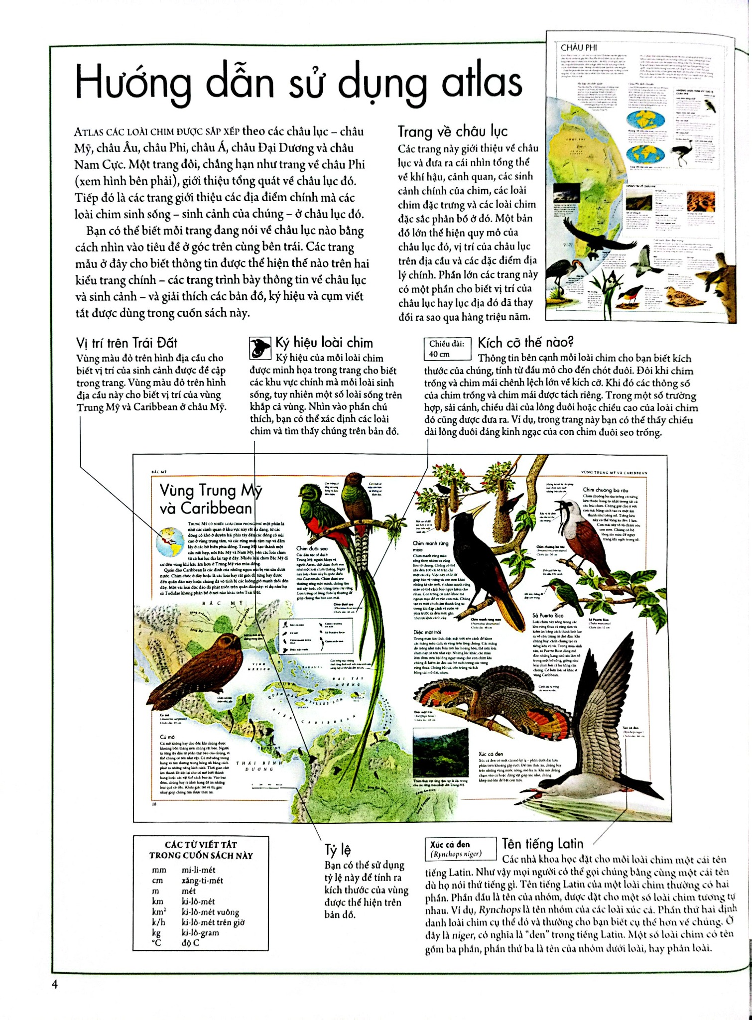 Combo 2 Quyển Atlas Động Vật + Atlas Các Loài Chim - Barbara Taylor, Richard Orr