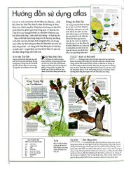 Combo 2 Quyển Atlas Động Vật + Atlas Các Loài Chim - Barbara Taylor, Richard Orr