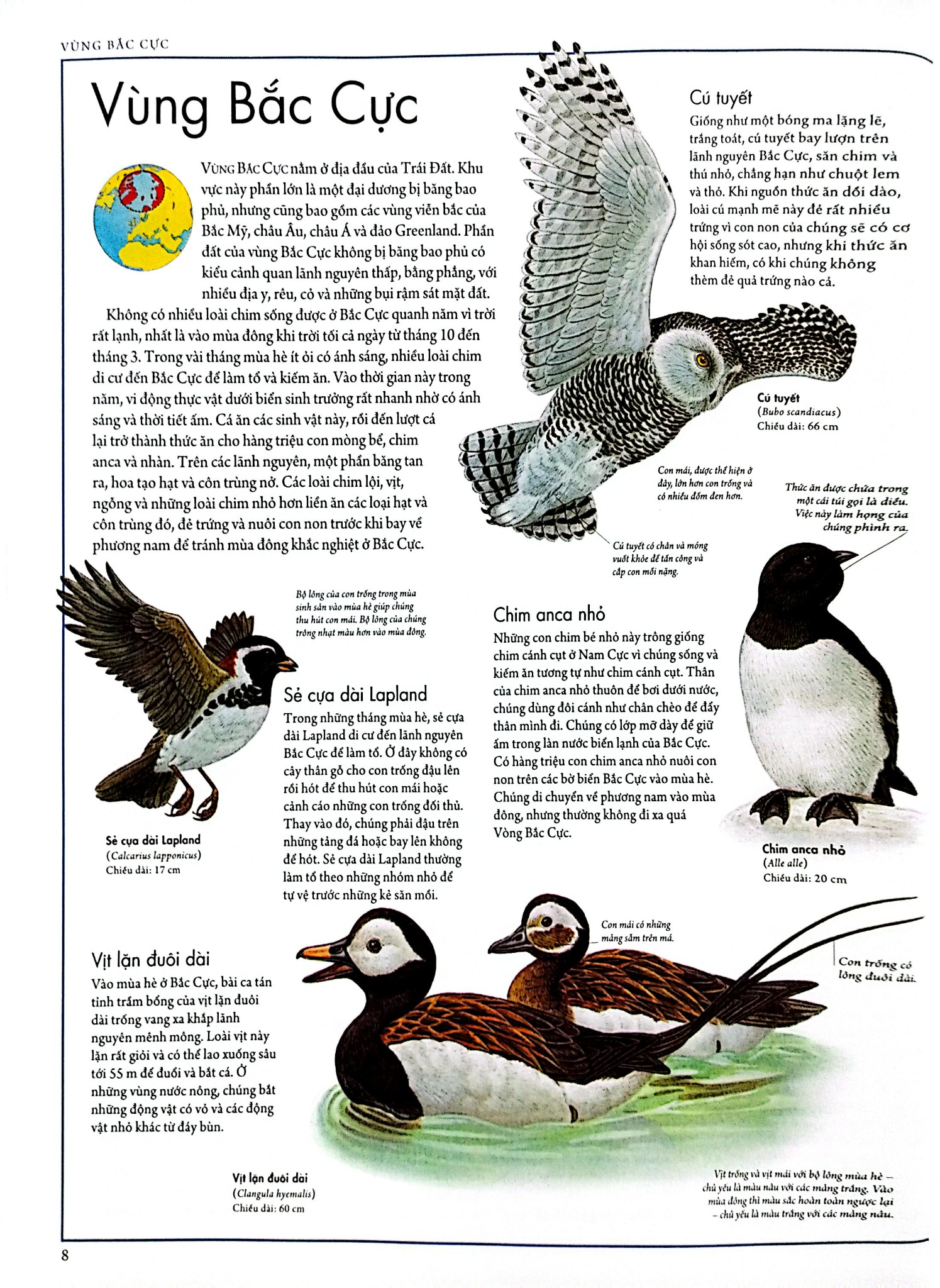 Combo 2 Quyển Atlas Động Vật + Atlas Các Loài Chim - Barbara Taylor, Richard Orr