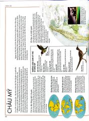 Combo 2 Quyển Atlas Động Vật + Atlas Các Loài Chim - Barbara Taylor, Richard Orr