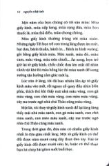 Ngồi Khóc Trên Cây (Khổ Nhỏ) - Nguyễn Nhật Ánh