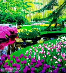 Các Địa Danh Đẹp Nhất Thế Giới (In Màu; Bìa Cứng) - Clive Gifford