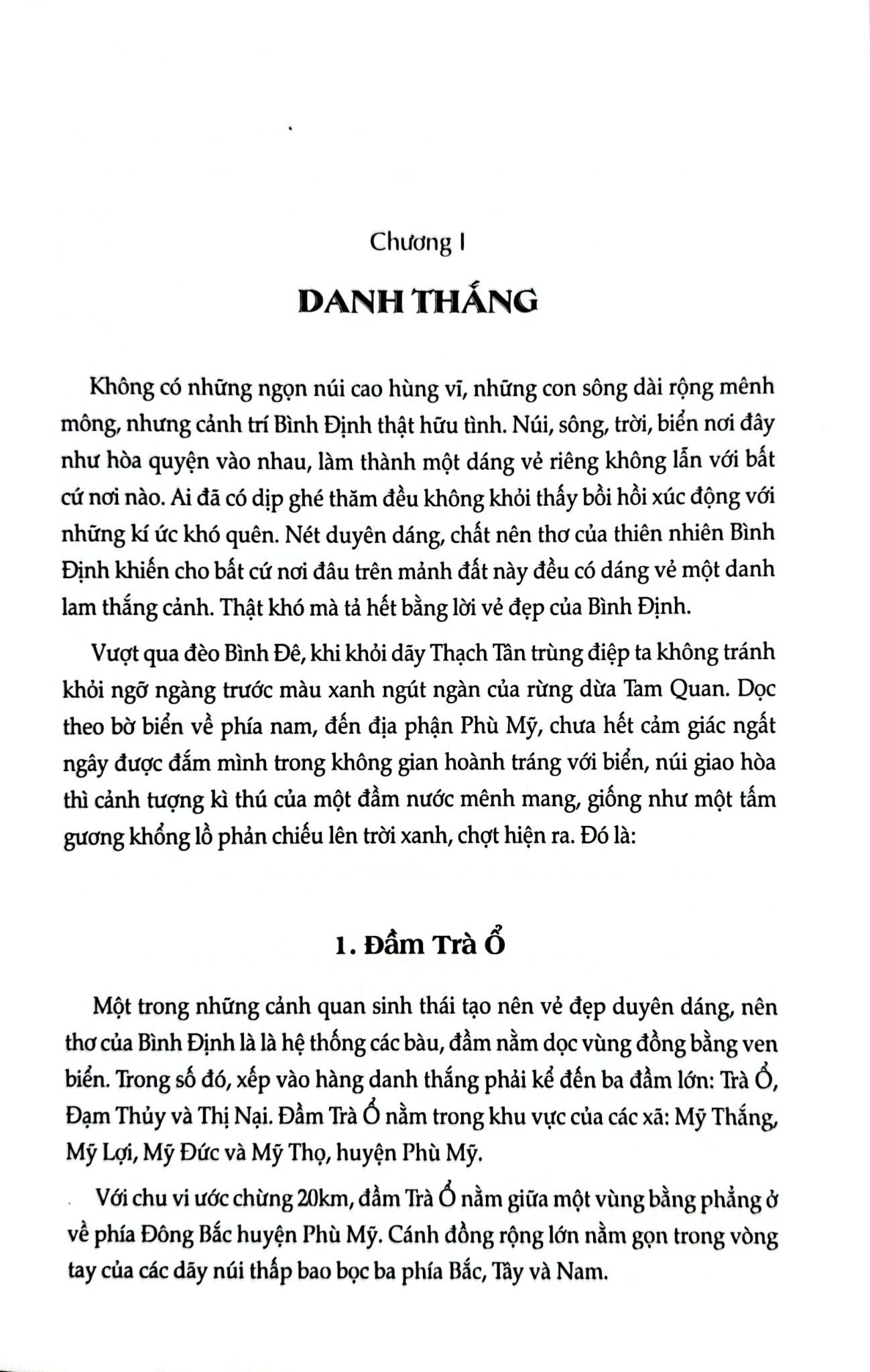 Bình Định Danh Thắng Và Di Tích - GS.TSKH. Vũ Minh Giang
