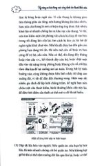 An Toàn Trong Ăn Uống Và Sơ Cấp Cứu - Trần Giang Sơn