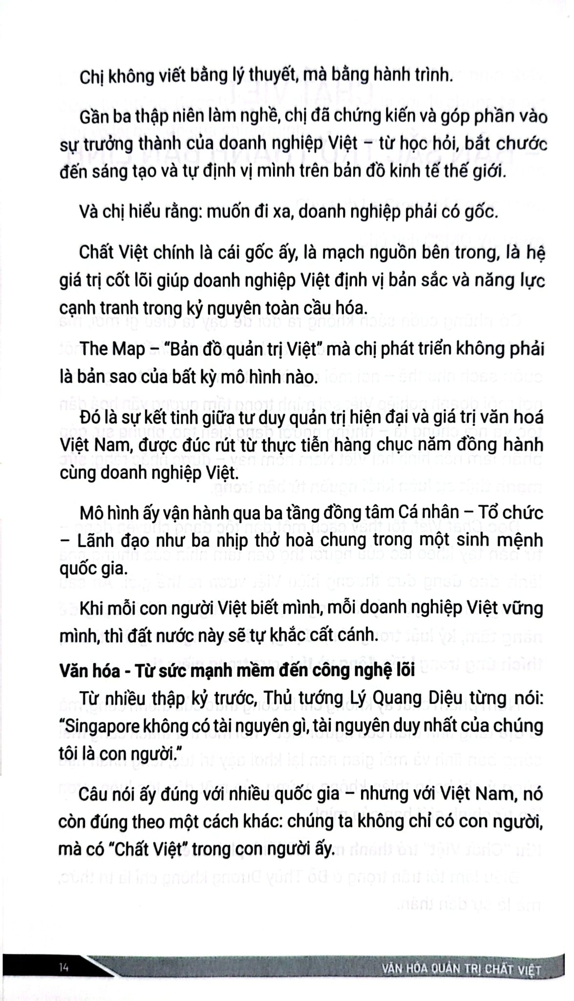 Văn Hóa Quản Trị - Chất Việt - Từ Kiên Cường Tới Thịnh Vượng - Đỗ Thùy Dương
