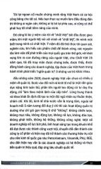 Văn Hóa Quản Trị - Chất Việt - Từ Kiên Cường Tới Thịnh Vượng - Đỗ Thùy Dương