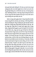 Hủy Diệt Và Cứu Rỗi - Ngòi Bút Tha Nhân (Bìa Mềm) - Viet Thanh Nguyen
