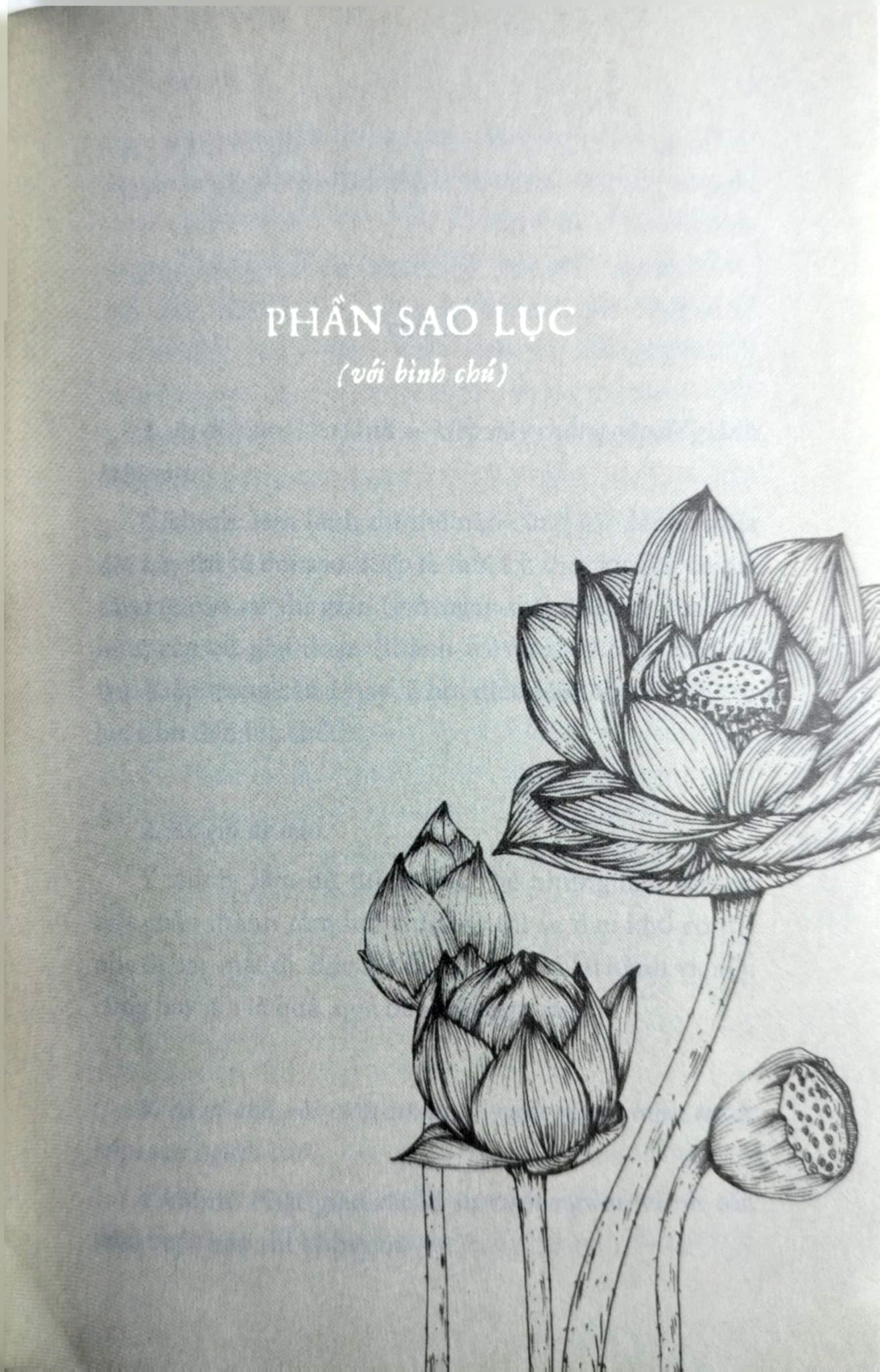 Phật Giáo Việt Nam Qua Phong Dao Tục Ngữ - Nguyên Mai