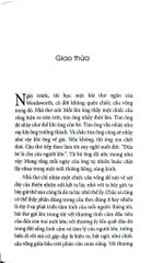 Sen Thơm Nắng Hạ Quê Mình - Bìa Mềm - Cao Huy Thuần