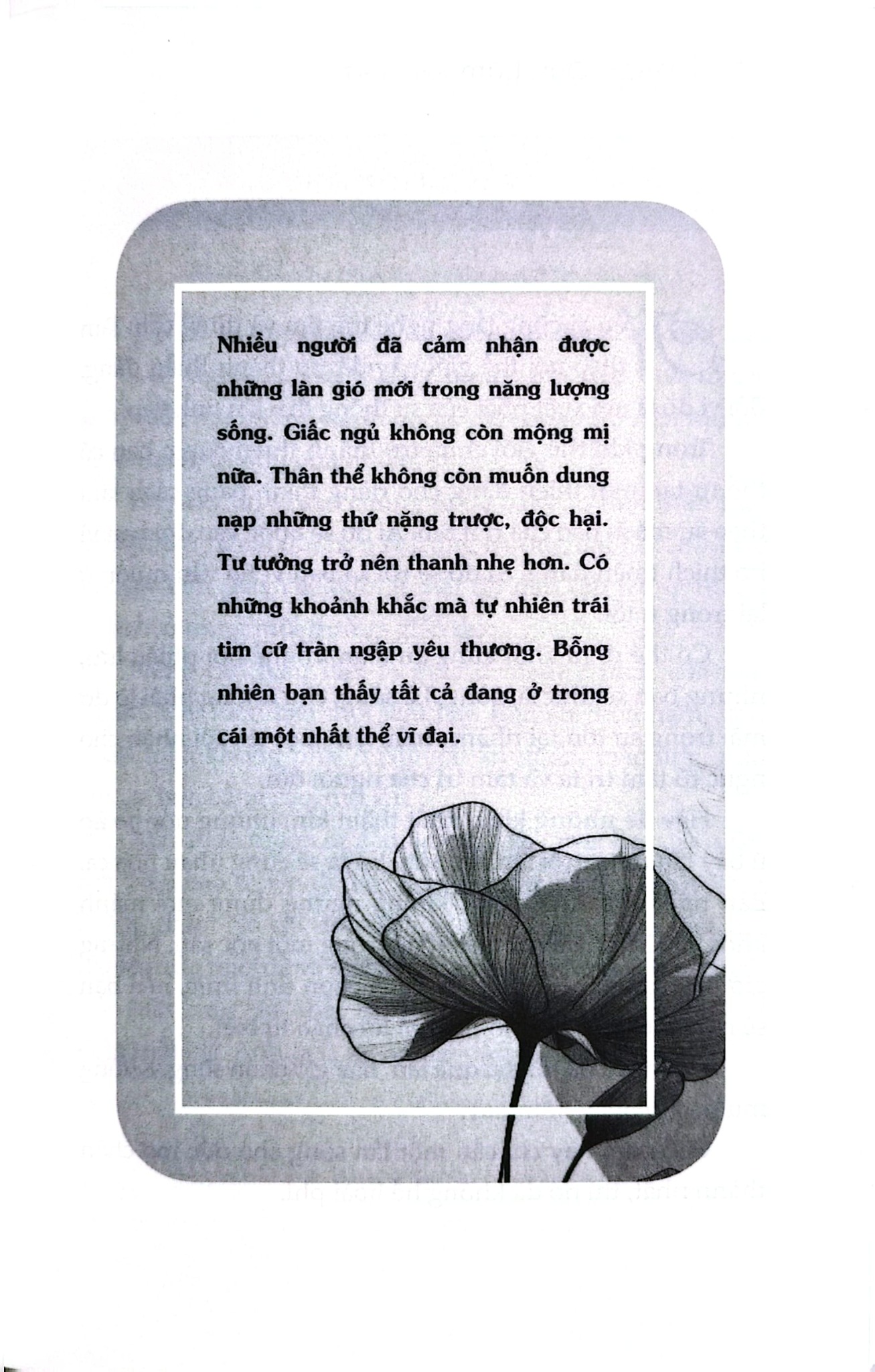 Trụ Vững Nơi Chính Mình - Đoàn Quý Lâm