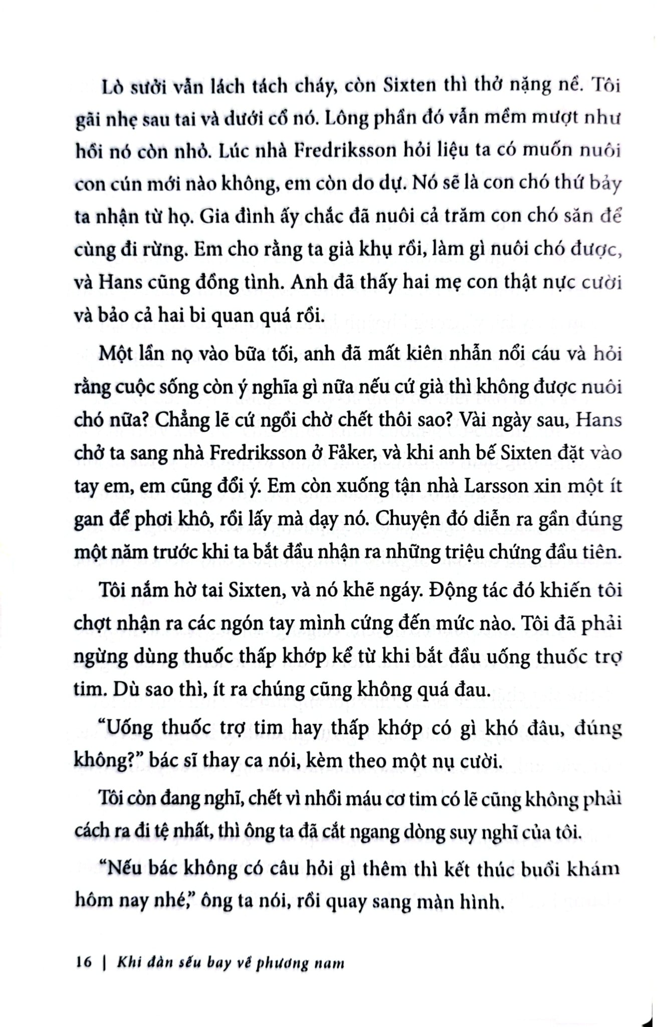 Khi Đàn Sếu Bay Về Phương Nam - Lisa Ridzén