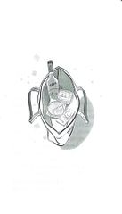 Ngũ Sắc Vạn Hoa -  
Hoàng Công Danh