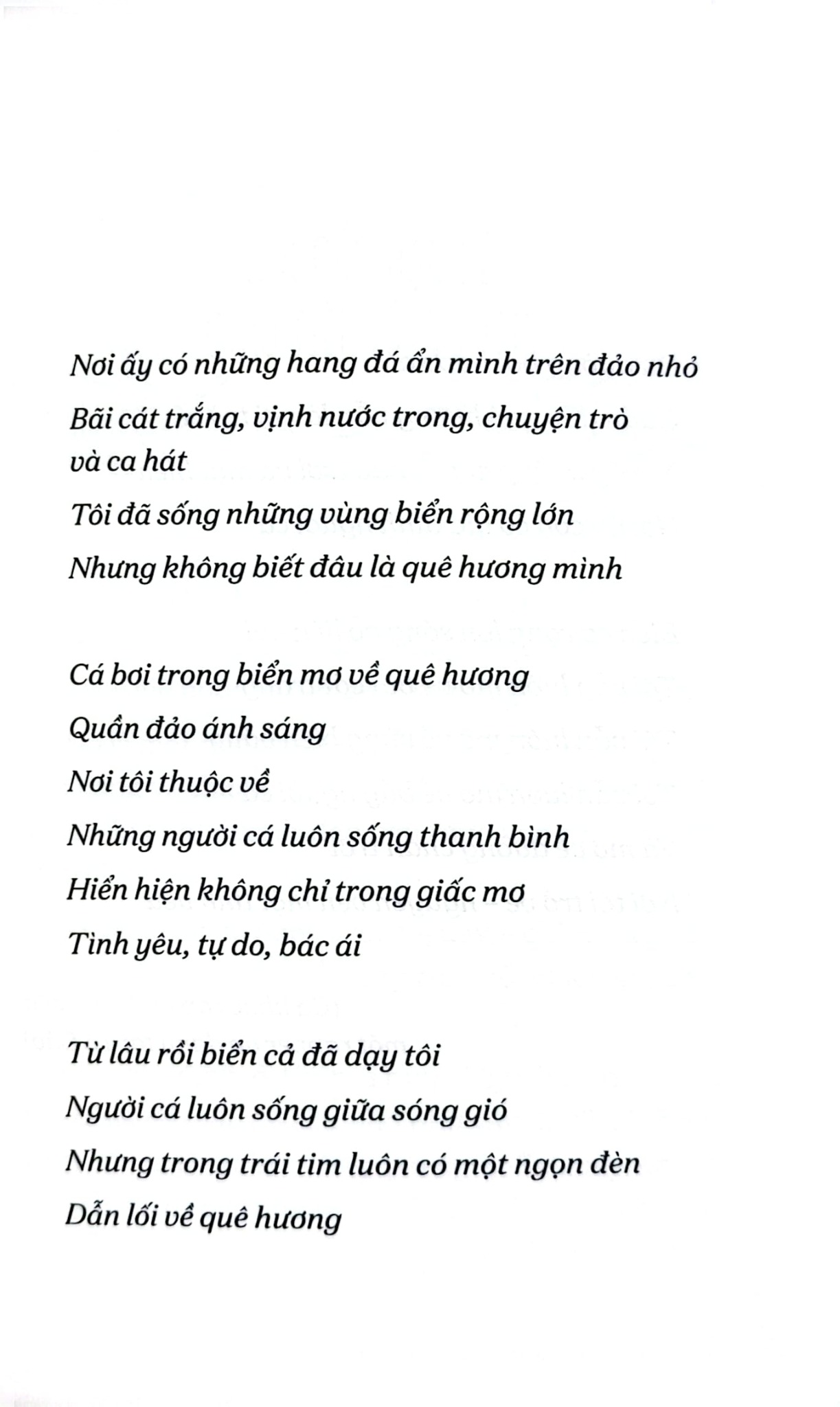 Cậu Bé Đến Từ Đường Chân Trời - Nguyễn Đình Tú