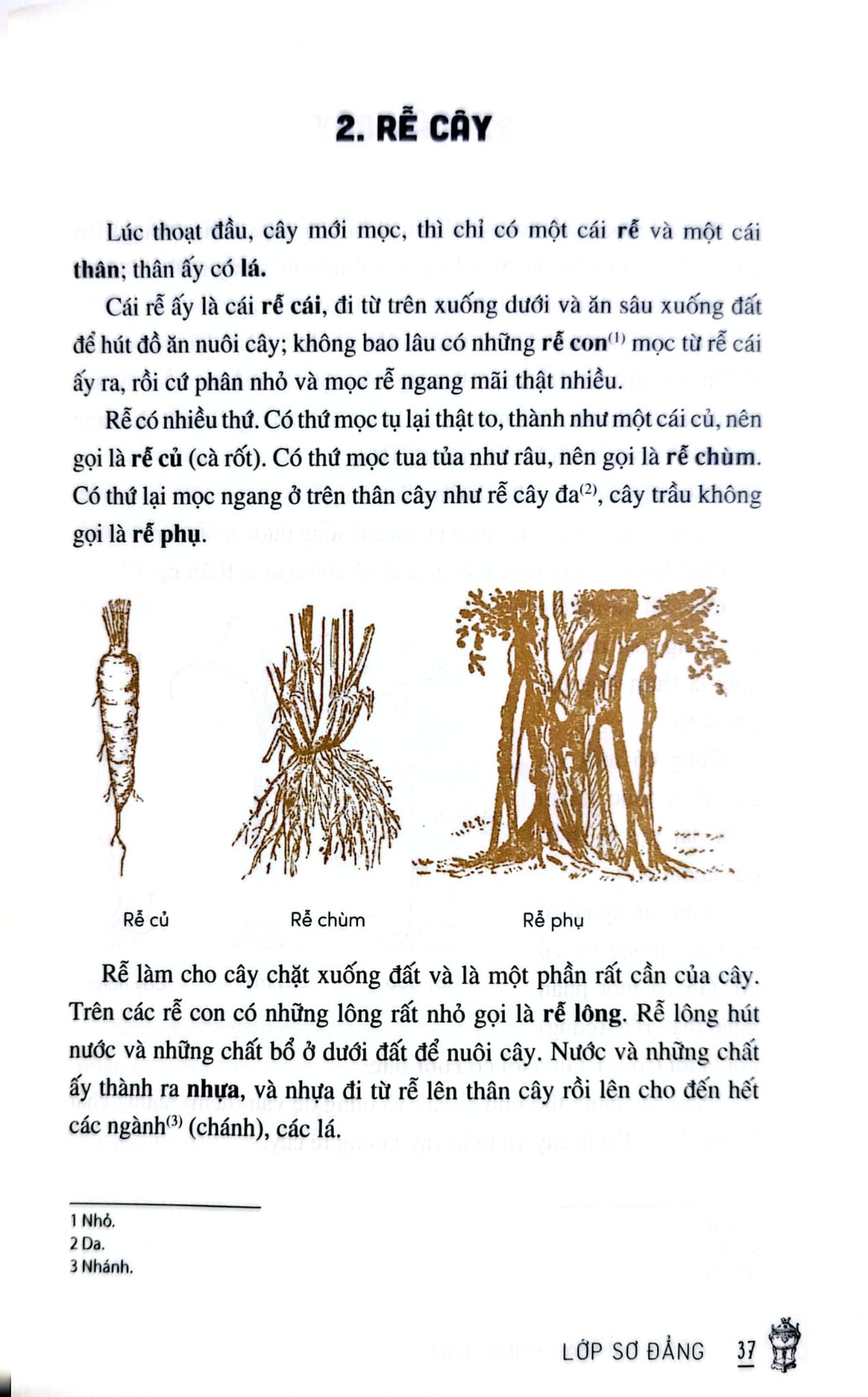 Cách Trí Giáo Khoa Thư - Trần Trọng Kim, Đặng Đình Phúc, Nguyễn Văn Ngọc, Đỗ Thận (KĐ)