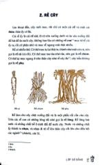 Cách Trí Giáo Khoa Thư - Trần Trọng Kim, Đặng Đình Phúc, Nguyễn Văn Ngọc, Đỗ Thận (KĐ)