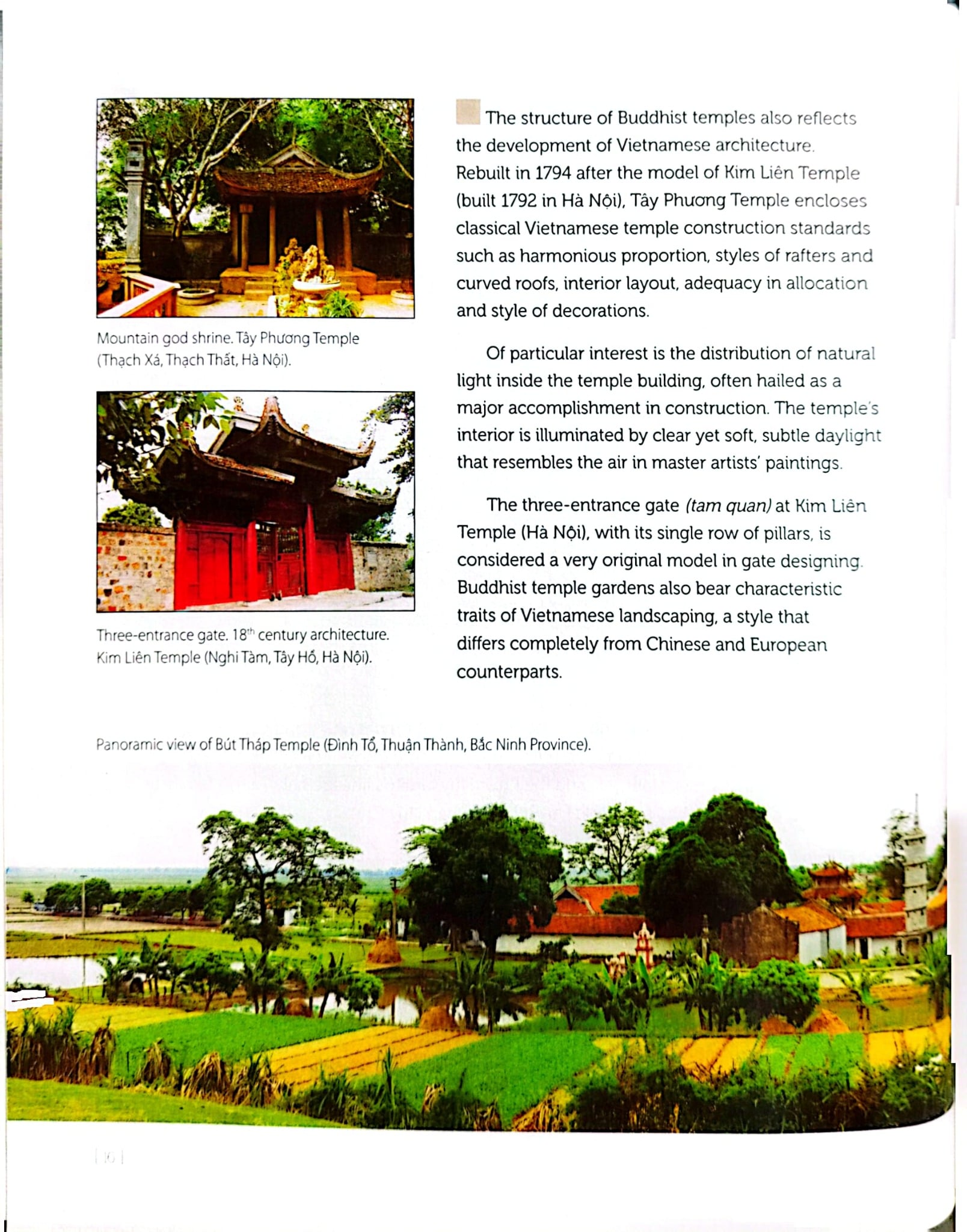 Vietnamese Art (Bìa Cứng) - Nhiều Tác Giả