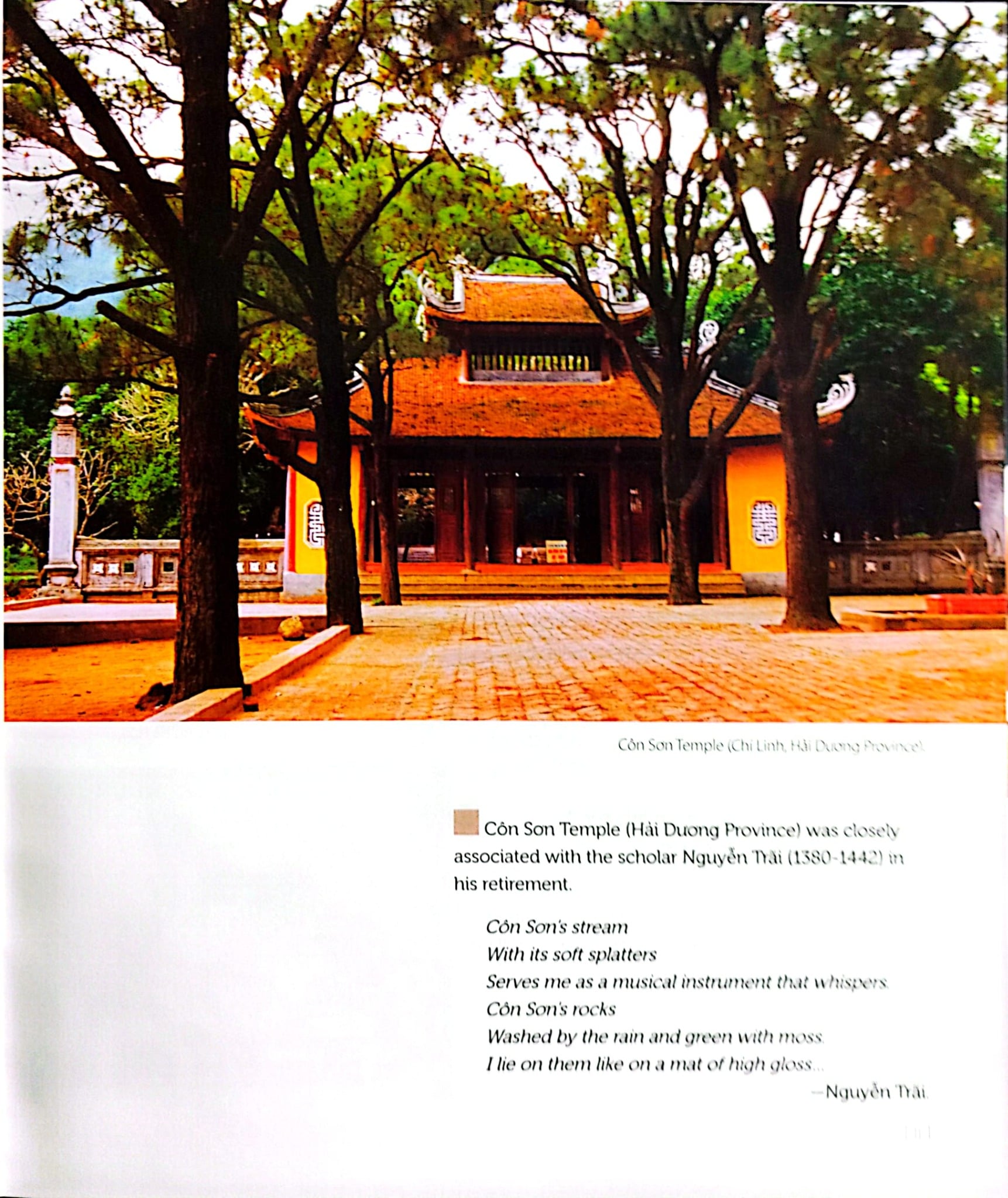 Vietnamese Art (Bìa Cứng) - Nhiều Tác Giả