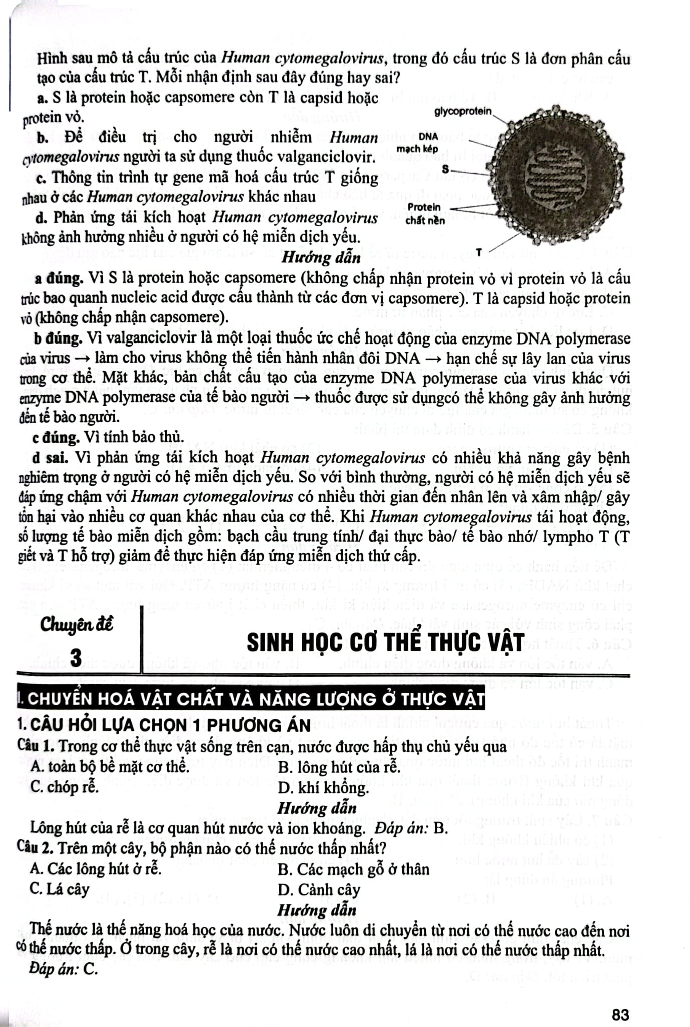 Ngân Hàng Câu Hỏi Trắc Nghiệm Sinh Học - Quyển Thượng (Dùng Chung Cho Các Bộ SGK Hiện Hành) - Phan Khắc Nghệ