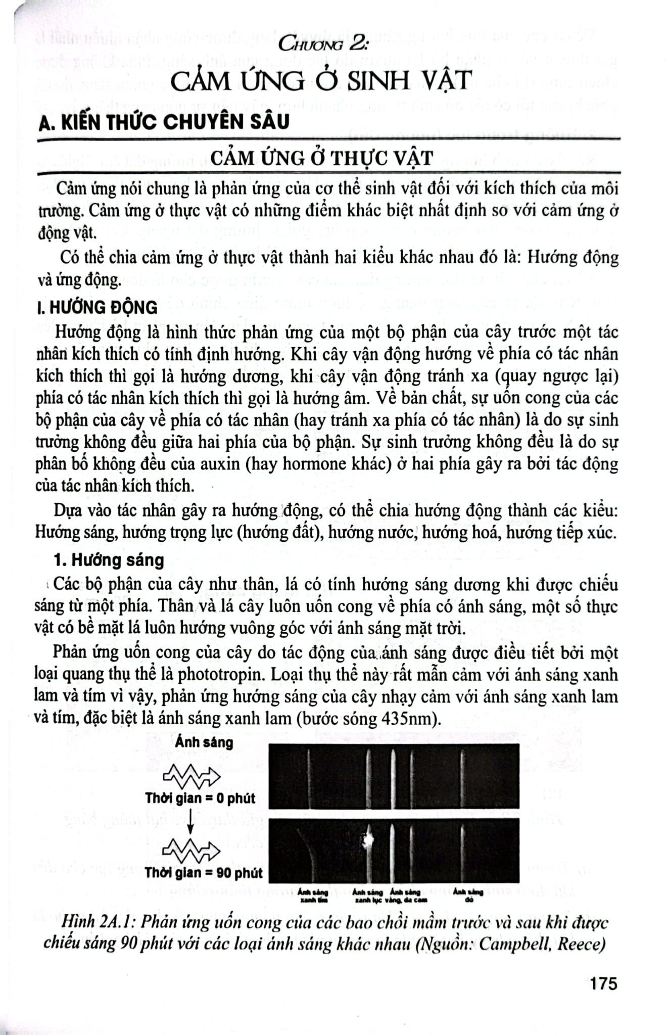 Bồi Dưỡng Học Sinh Giỏi Sinh Học 11 - Phan Khắc Nghệ (Dùng Chung Cho Các Bộ Sgk Hiện Hành) - Phan Khắc Nghệ