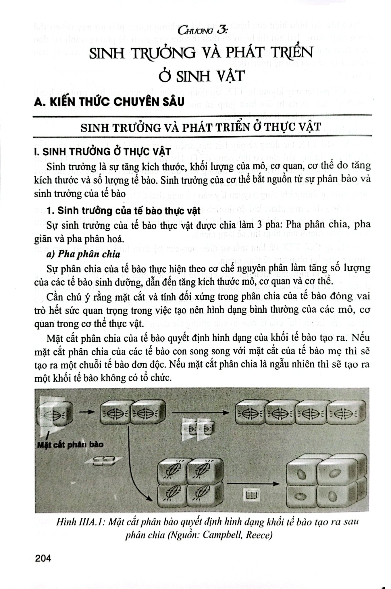 Bồi Dưỡng Học Sinh Giỏi Sinh Học 11 - Phan Khắc Nghệ (Dùng Chung Cho Các Bộ Sgk Hiện Hành) - Phan Khắc Nghệ