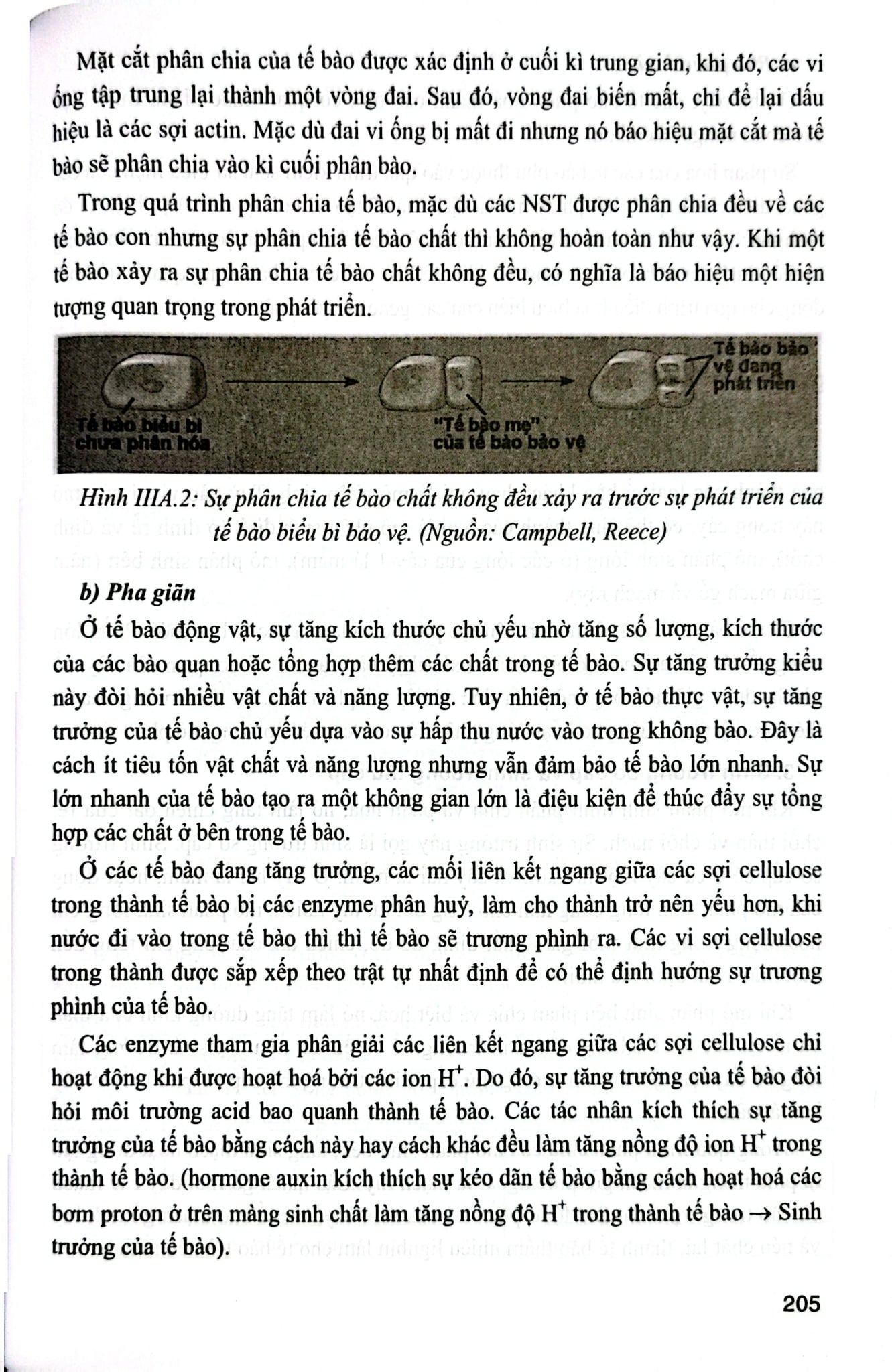 Bồi Dưỡng Học Sinh Giỏi Sinh Học 11 - Phan Khắc Nghệ (Dùng Chung Cho Các Bộ Sgk Hiện Hành) - Phan Khắc Nghệ