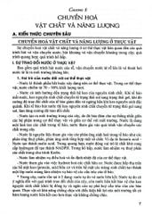 Bồi Dưỡng Học Sinh Giỏi Sinh Học 11 - Phan Khắc Nghệ (Dùng Chung Cho Các Bộ Sgk Hiện Hành) - Phan Khắc Nghệ