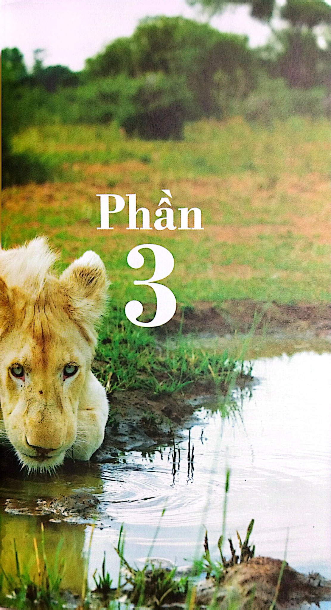 Mia Và Chú Sư Tử Trắng - Prune De Maistre