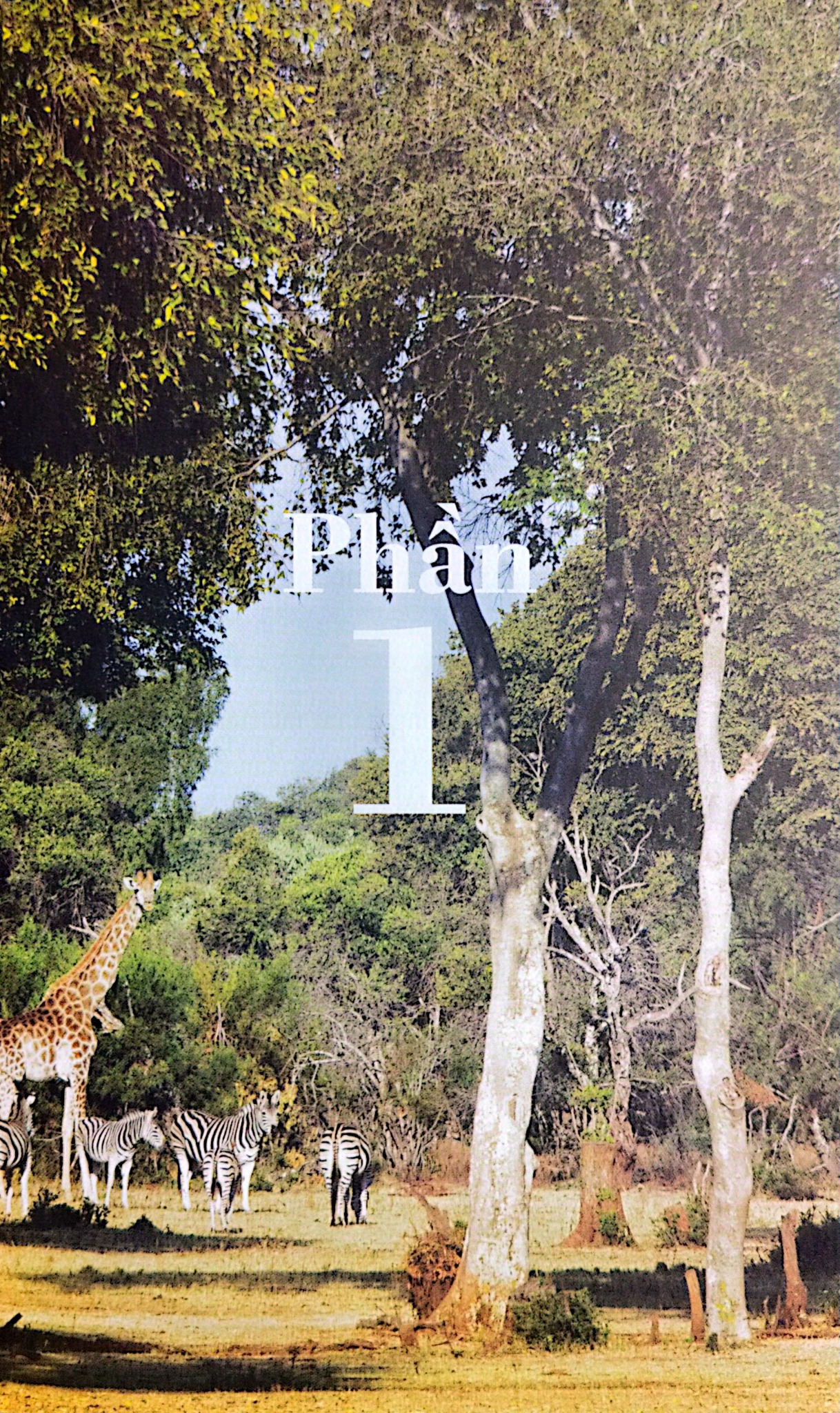 Mia Và Chú Sư Tử Trắng - Prune De Maistre