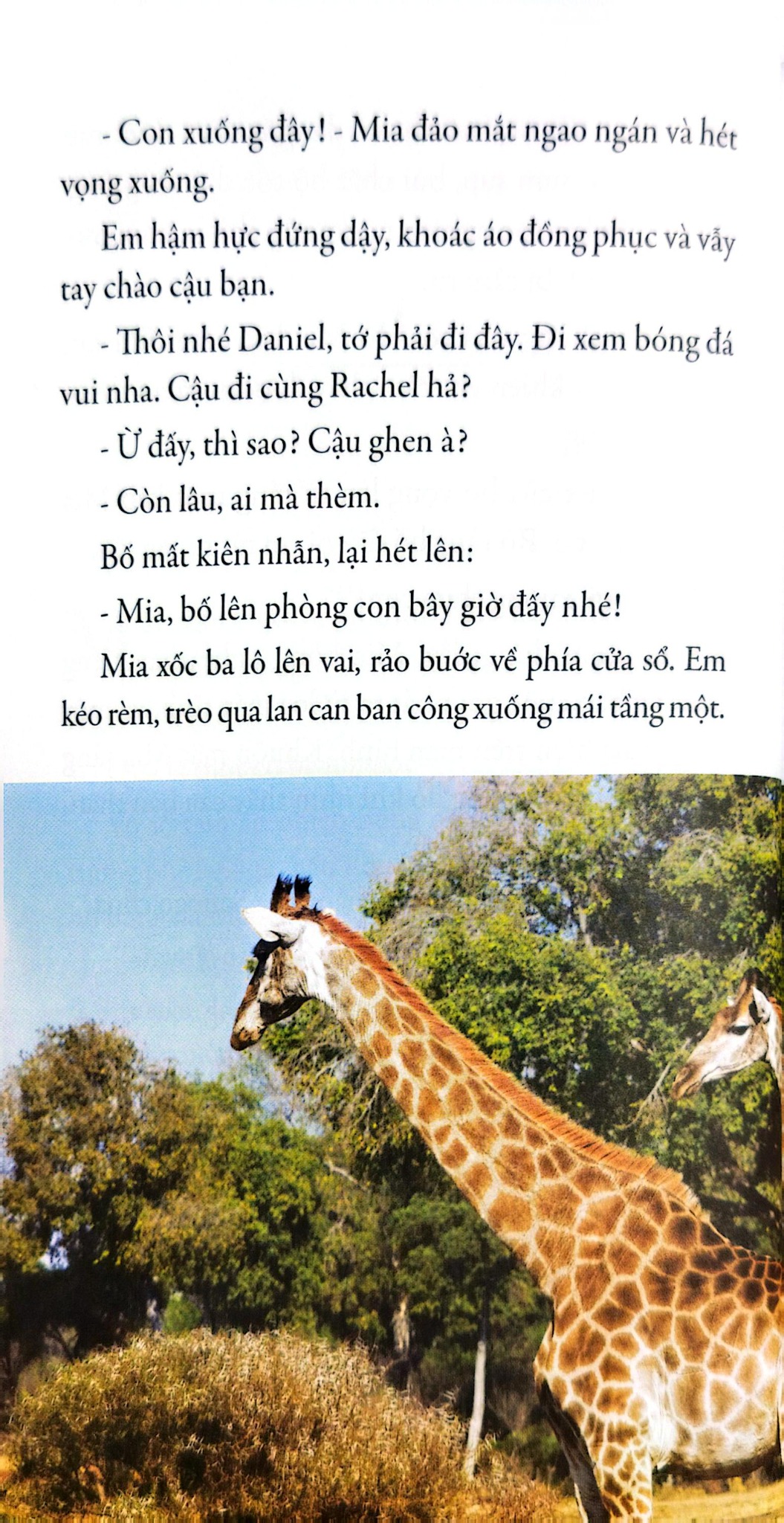 Mia Và Chú Sư Tử Trắng - Prune De Maistre