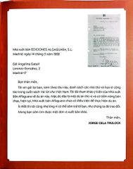 Cùng Việt Nam - Bìa Cứng - Nhiều Tác Giả