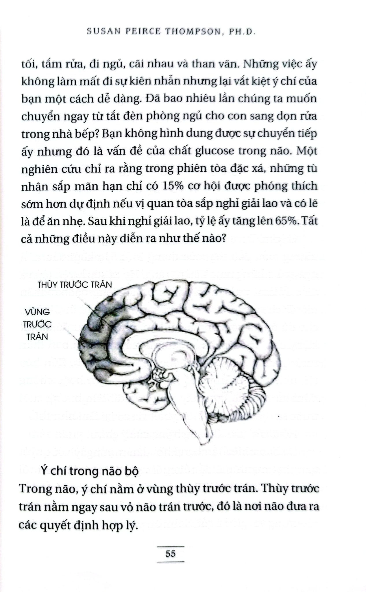 Từ XXL Đến XXS - Bí Quyết Để Thon Thả, Thư Thái Và Thảnh Thơi - Susan Peirce Thompson, Ph.D.