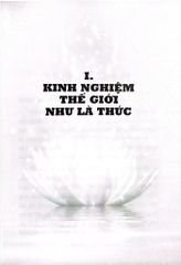 Duy Thức Thấy Thẳng Bản Tánh Của Tâm - Nguyễn Thế Đăng