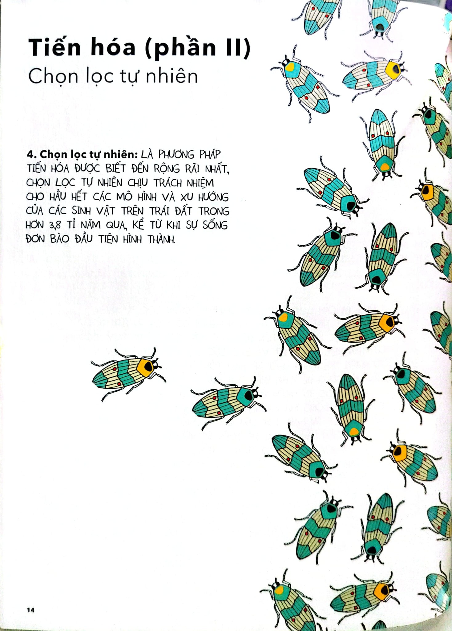 Chân Dung Khoa Học - Iris Gottlieb