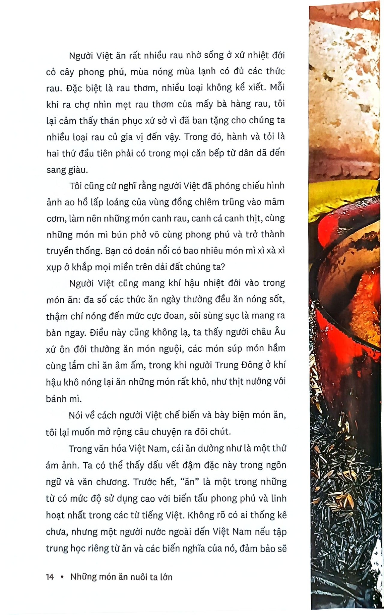 Những Món Ăn Nuôi Ta Lớn - Nguyễn Mạnh Hùng, Phạm Trung Tuyến, Nguyễn Hoàng Diệu Thủy