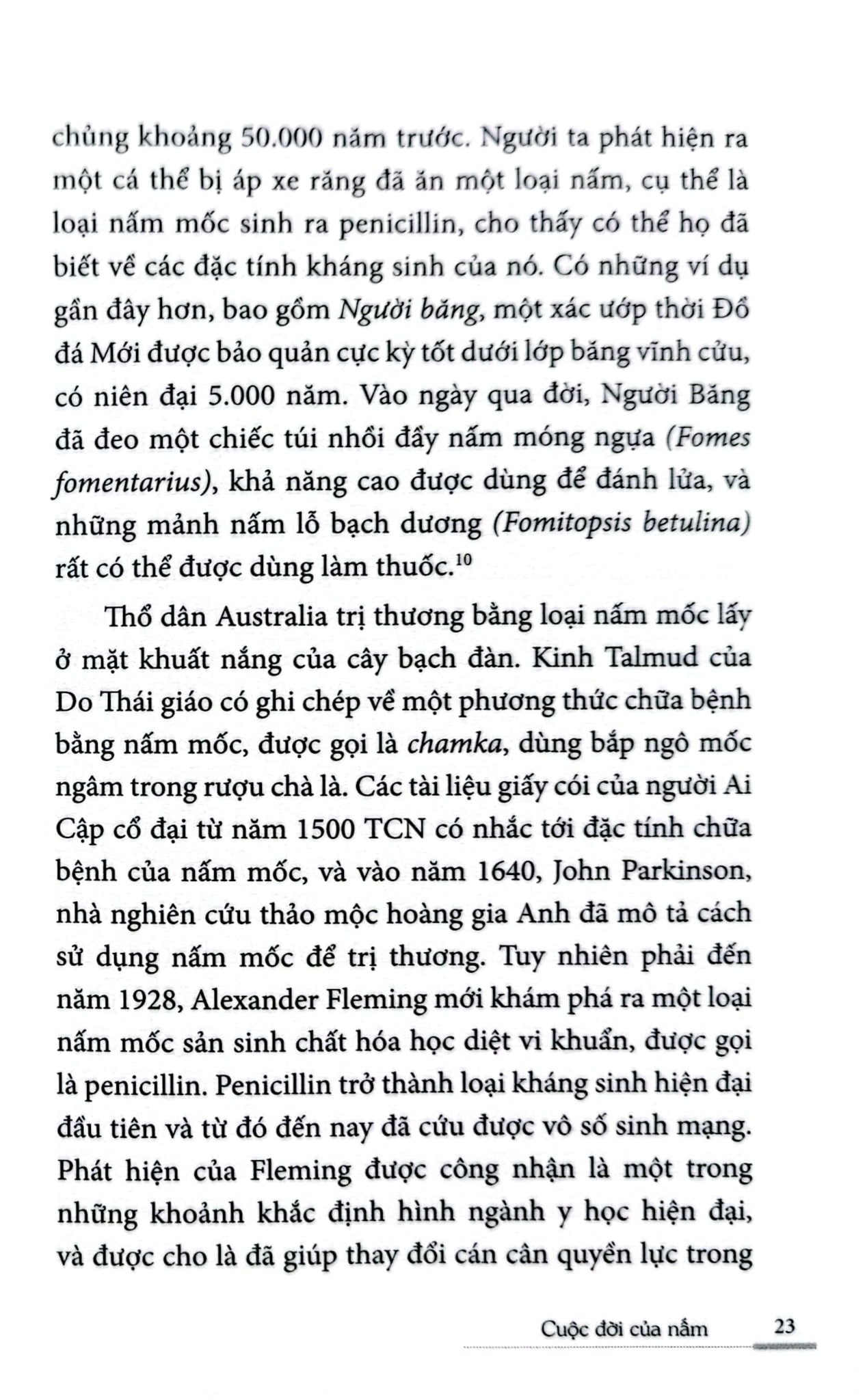 Cuộc Đời Của Nấm - Entangled Life - Merlin Sheldrake