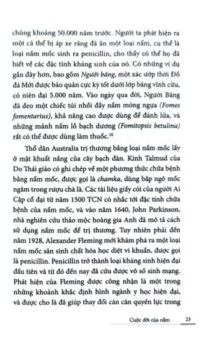  Cuộc Đời Của Nấm - Entangled Life - Merlin Sheldrake 