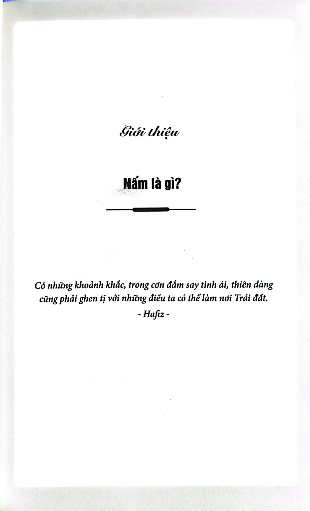 Cuộc Đời Của Nấm - Entangled Life - Merlin Sheldrake