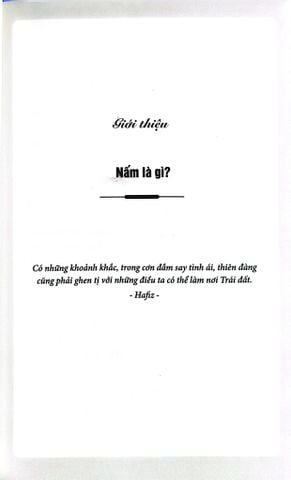  Cuộc Đời Của Nấm - Entangled Life - Merlin Sheldrake 
