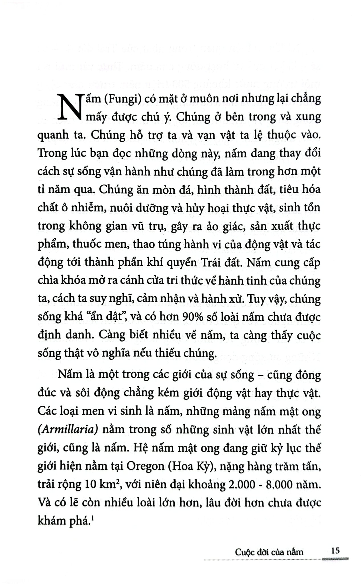 Cuộc Đời Của Nấm - Entangled Life - Merlin Sheldrake