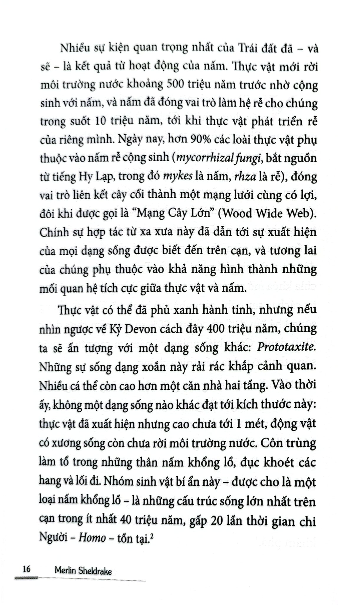 Cuộc Đời Của Nấm - Entangled Life - Merlin Sheldrake