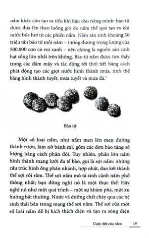  Cuộc Đời Của Nấm - Entangled Life - Merlin Sheldrake 