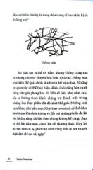 Cuộc Đời Của Nấm - Entangled Life - Merlin Sheldrake